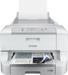 C11CD43301