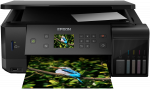 C11CG15401